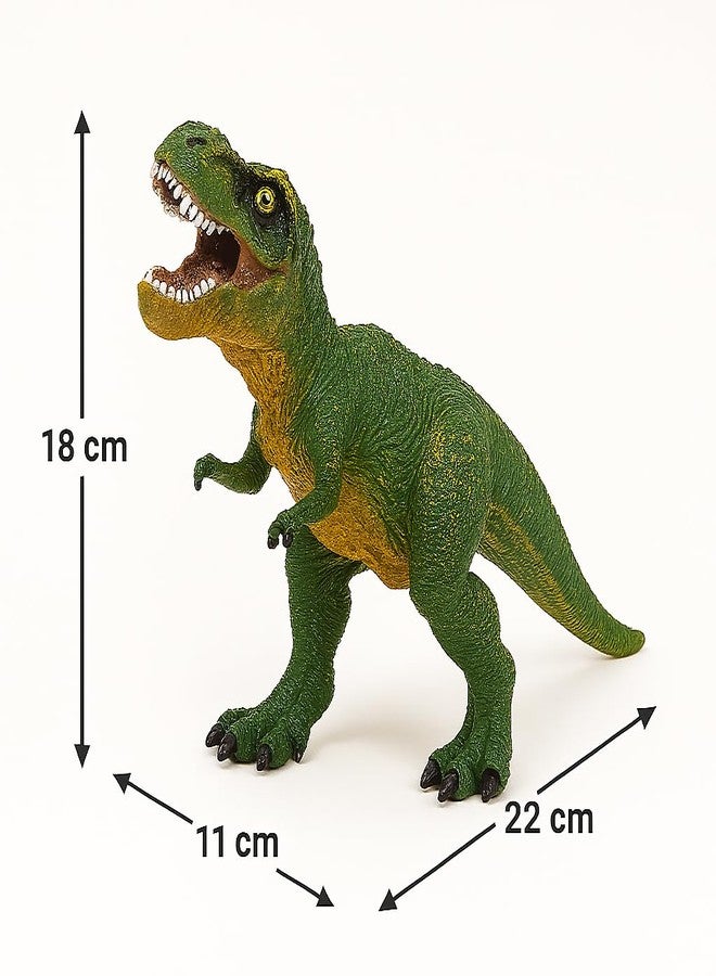 DTR Creation T-Rex Dinosaur Toy for Kids - 26cm Green Tyrannosaurus Rex | Realistic & Soft Toy for Boys & Girls | Educational & Imaginative Play - Image 5